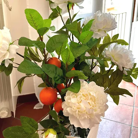 Luna Prime Collection Apartment