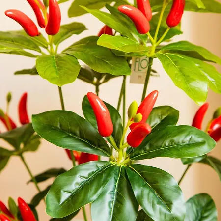 Apartment Luna Prime Collection *