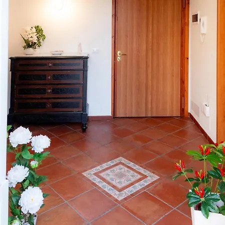 Luna Prime Collection