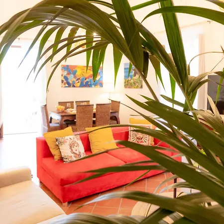 Luna Prime Collection *